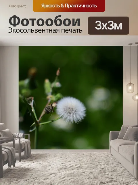 Фотообои Осот огородный