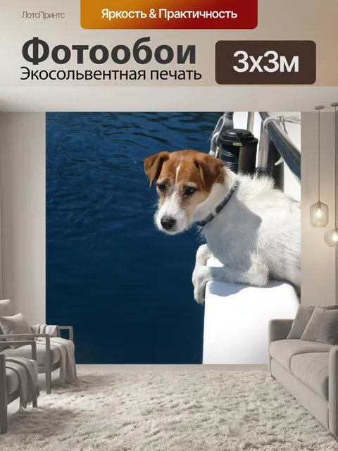Фотообои Собака