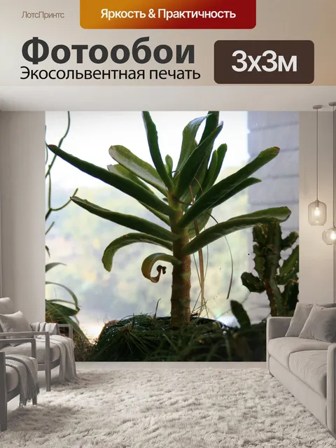 Фотообои зеленые сочные