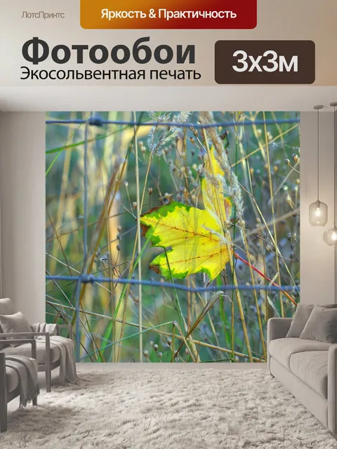 Фотообои Листья