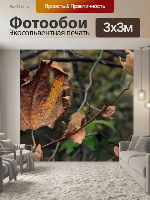 Фотообои Осенние листья # 2