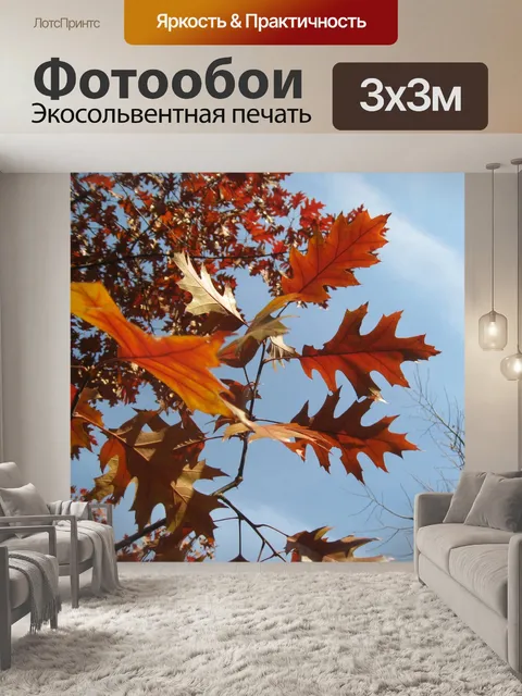 Фотообои Осенние листья клена