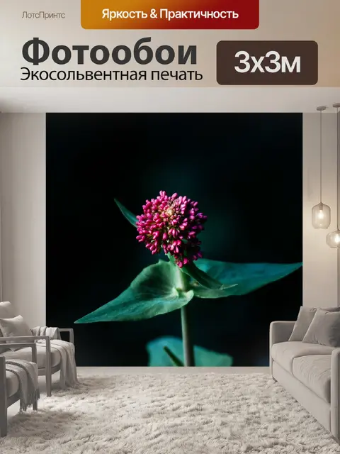 Фотообои Цветок