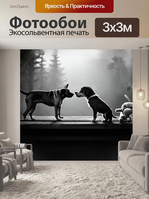 Фотообои на старой деревянной площадке