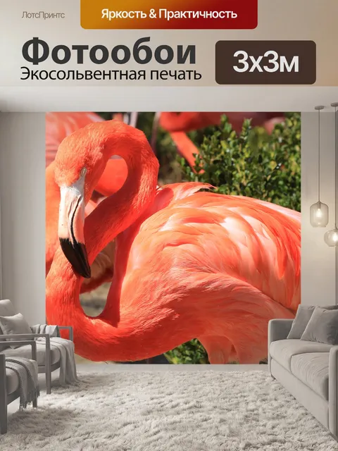 Фотообои Сонный фламинго