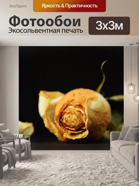 Фотообои Роза