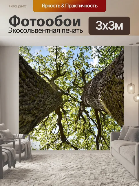 Фотообои Оукс