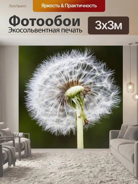 Фотообои Одуванчик