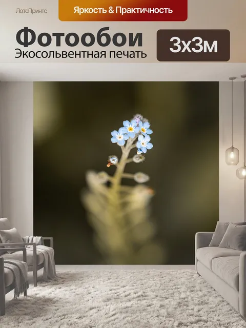 Фотообои Цветы