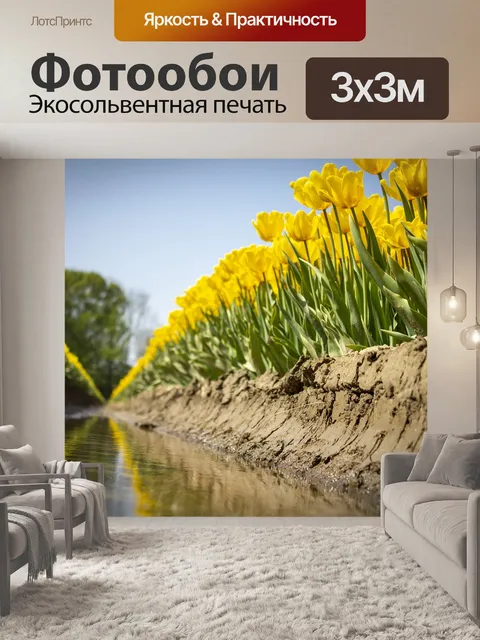 Фотообои Тюльпаны