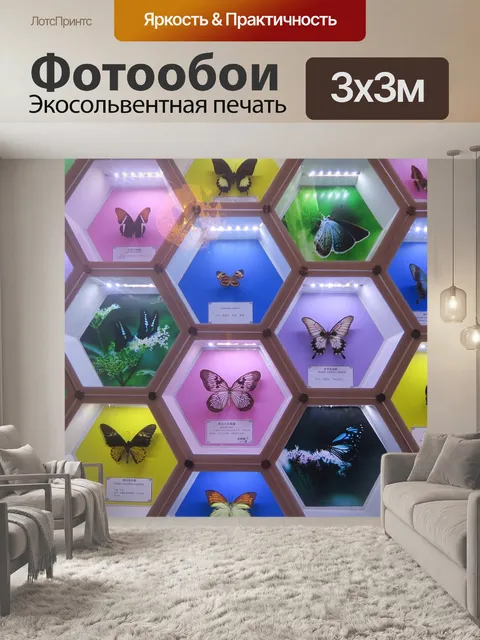 Фотообои Образец бабочки