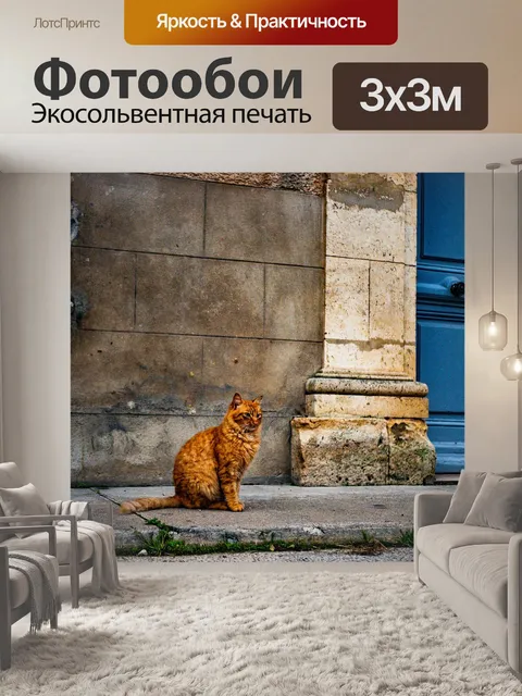 Фотообои Кошка