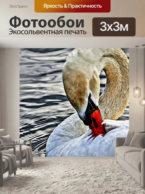 Фотообои Окрашенные Swan
