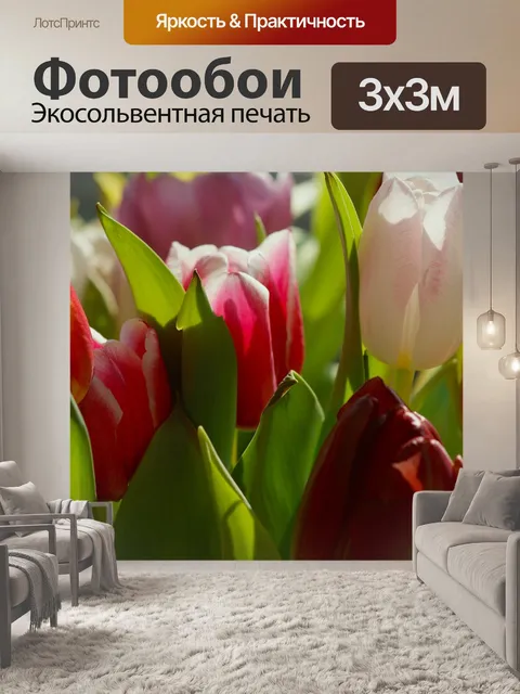 Фотообои Тюльпаны