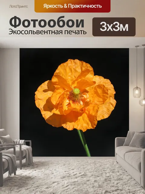 Фотообои Фаршированный мак