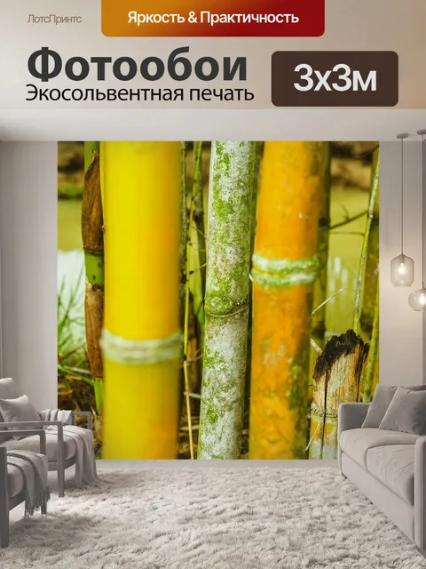 Фотообои Бамбуковый лес природа фон