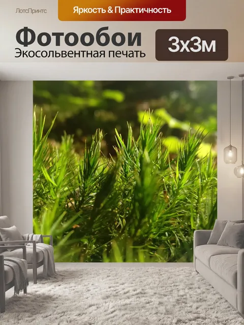 Фотообои Мох