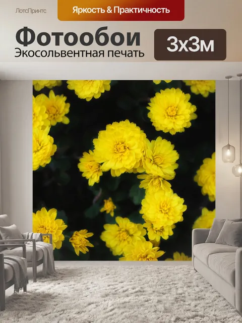 Фотообои Хризантемы