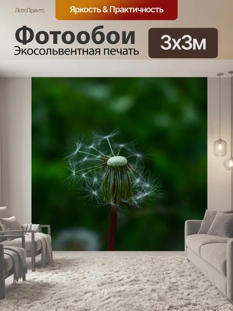 Фотообои Одуванчик