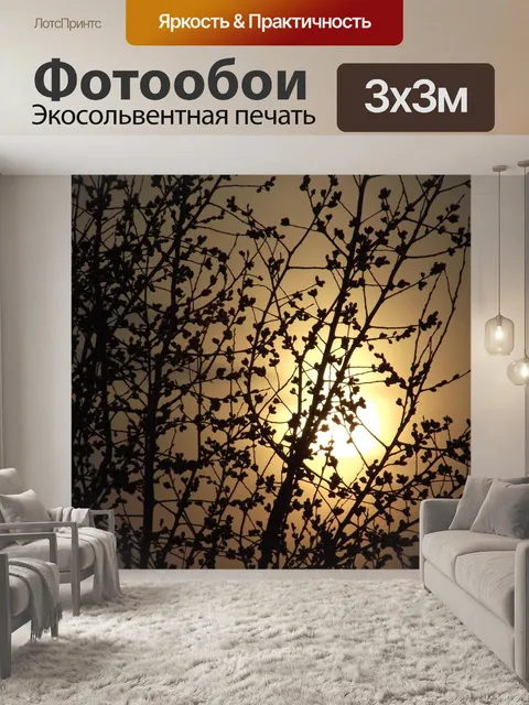 Фотообои Солнце