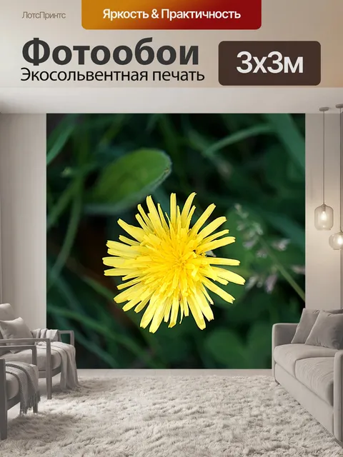 Фотообои одуванчик