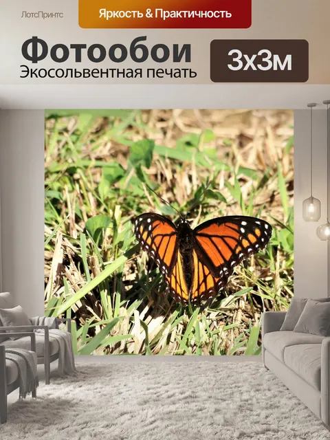 Фотообои Монарх Бабочка в Траве 2