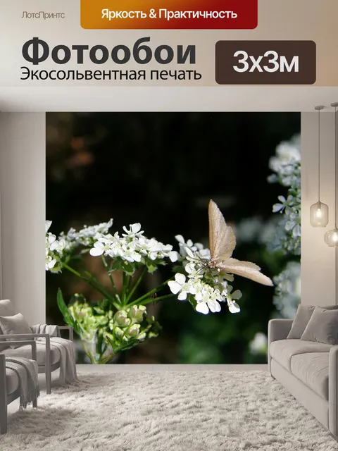 Фотообои Цветы