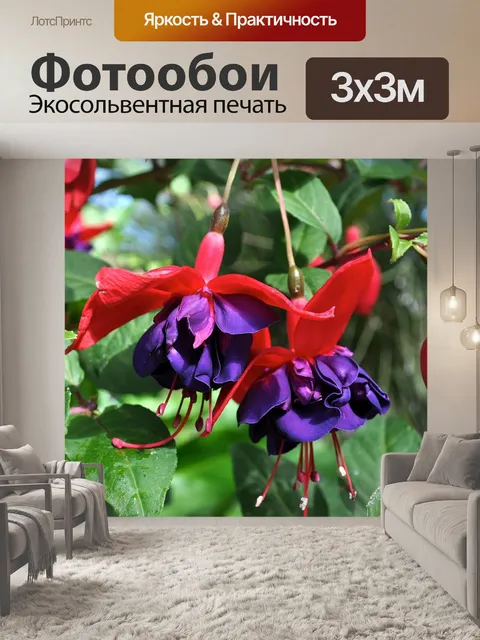 Фотообои Цветы