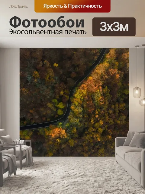 Фотообои Дорога