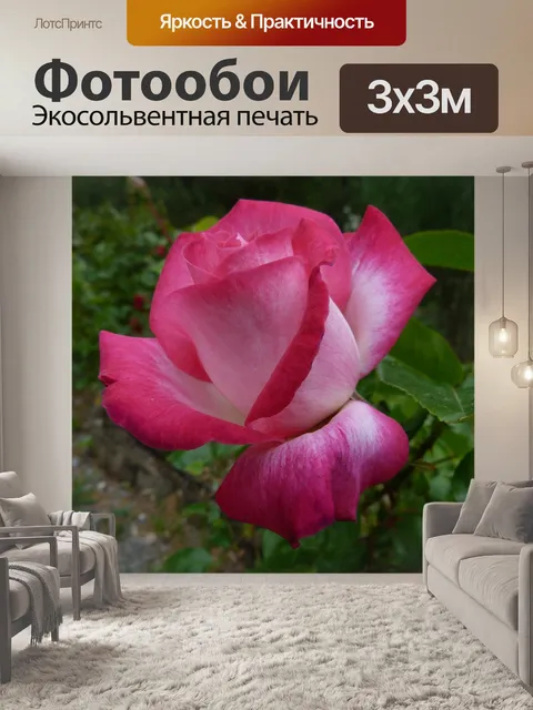 Фотообои Цветы