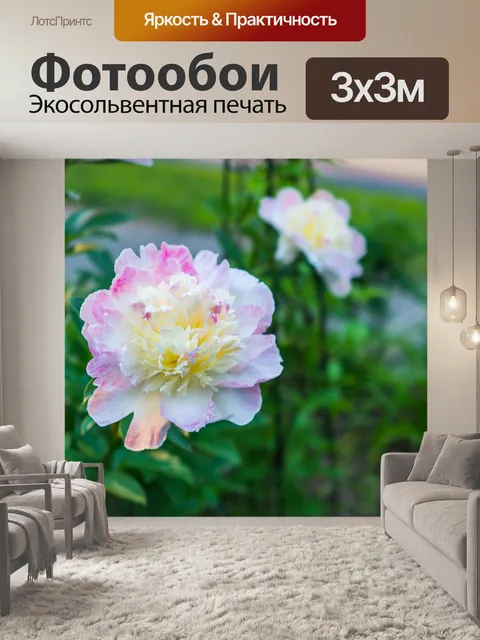 Фотообои Пионы