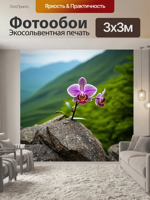 Фотообои орхидея, растущая на скале в горах