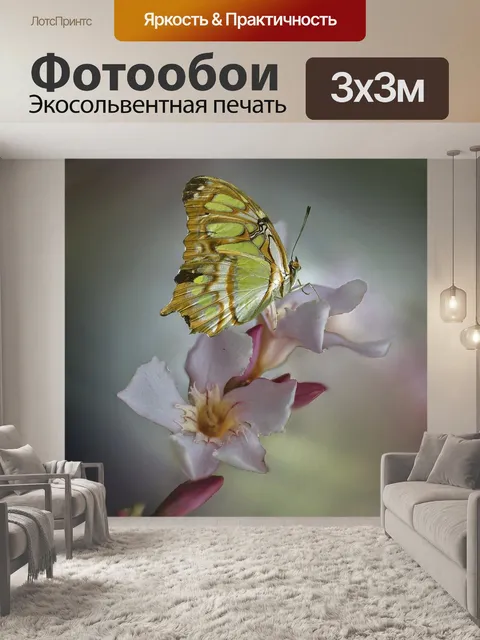 Фотообои Бабочка