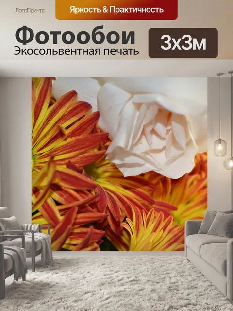 Фотообои Белые розы Цвет фона