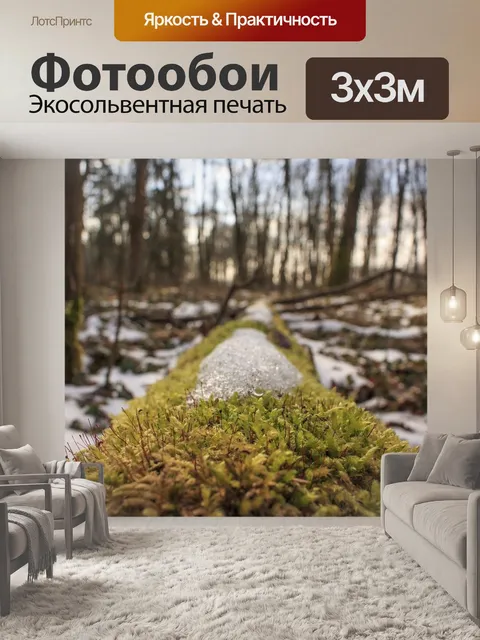 Фотообои Дерево
