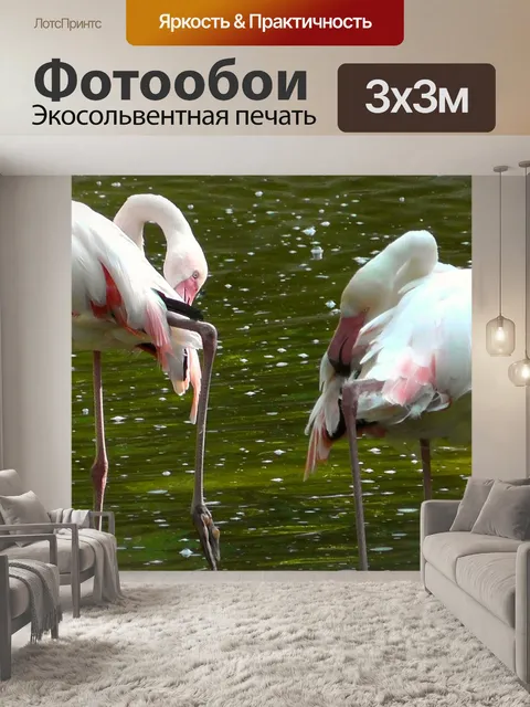 Фотообои Фламинго