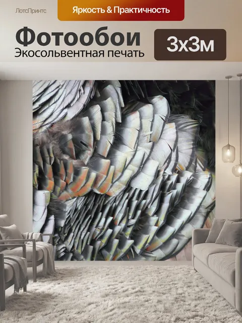 Фотообои Оперение