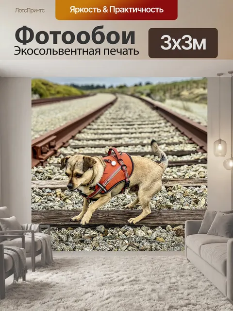 Фотообои Собака