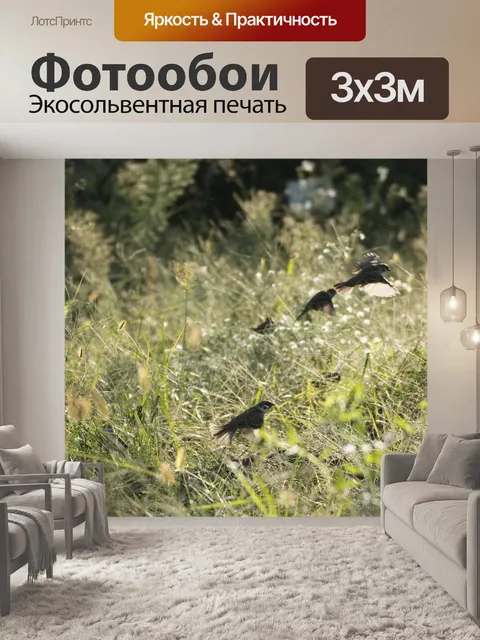 Фотообои Пейзаж