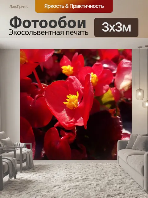 Фотообои Красный