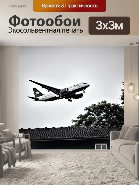 Фотообои самолет в черно-белом стиле, мимо крыши с зелеными насаждениями