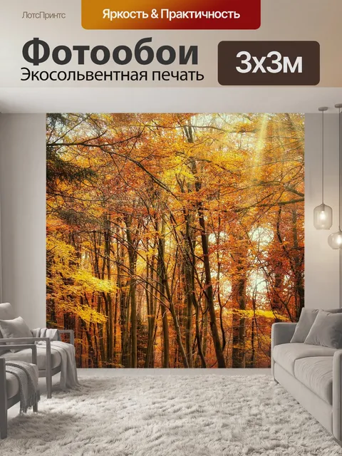 Фотообои Лес