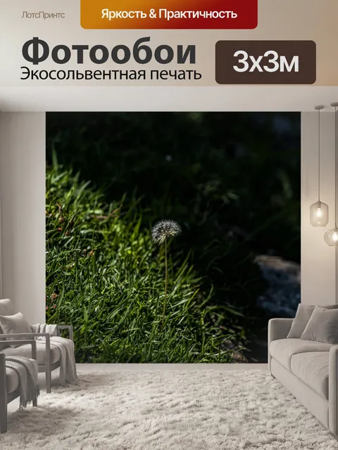 Фотообои Одуванчик на траве
