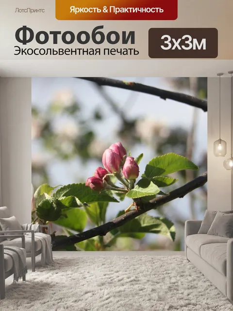 Фотообои Бутоны