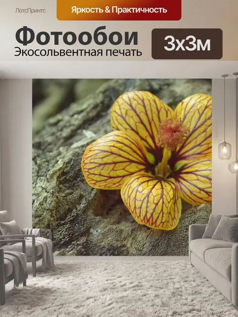 Фотообои Цветок