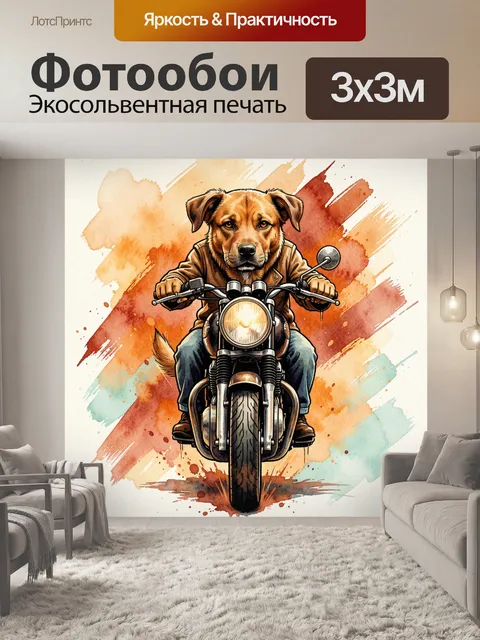 Фотообои Собака на байке