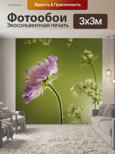 Фотообои Цветок