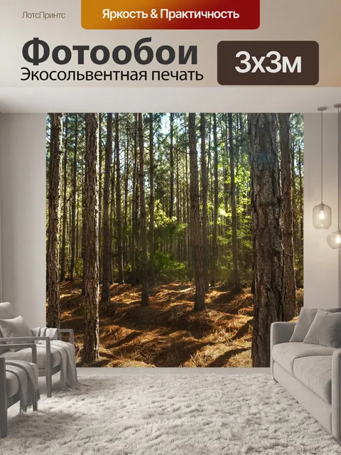 Фотообои Лес