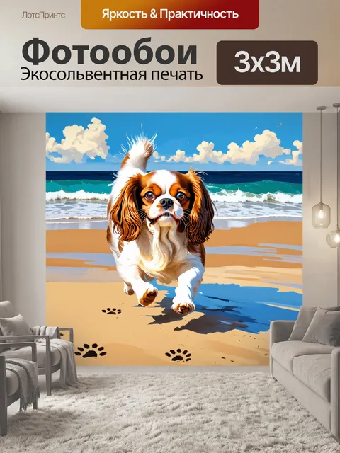 Фотообои веселая сцена, где кавалер кинг чарльз спаниель с радостным блеском в глазах бежит по пляжу, оставляя следы…