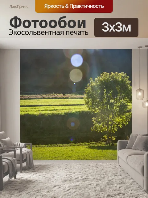 Фотообои Поля